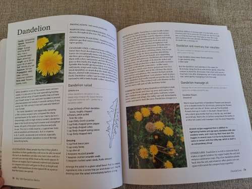 My 100 Favourite Herbs