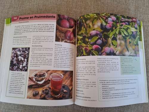 Kweek Dit Self - JJ van Rensburg & Tinus Oberholzer