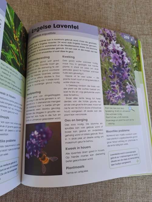 Kweek Dit Self - JJ van Rensburg & Tinus Oberholzer