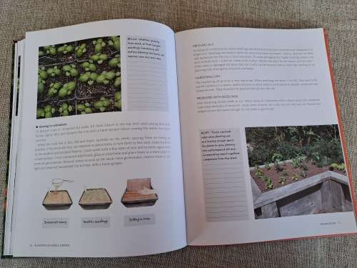 Anyone can grow vegetables - Diana Anthony