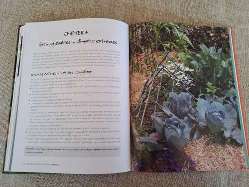 Anyone can grow vegetables - Diana Anthony