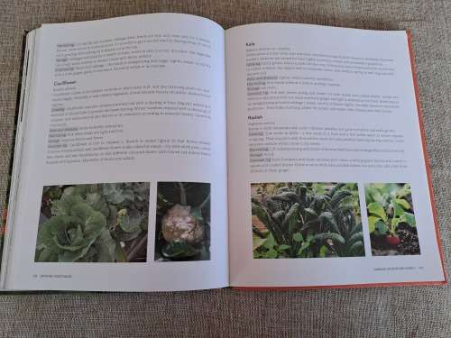 Anyone can grow vegetables - Diana Anthony