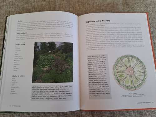 Anyone can grow vegetables - Diana Anthony