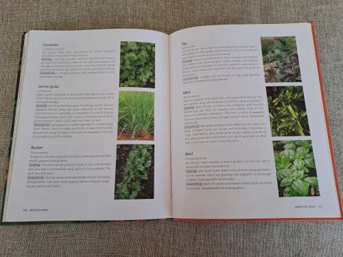 Anyone can grow vegetables - Diana Anthony