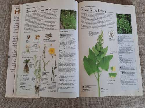 The Complete Book of Herbs - Lesley Bremness
