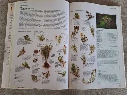 The Complete Book of Herbs - Lesley Bremness