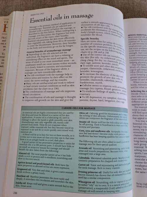 The Complete Book of Herbs - Lesley Bremness