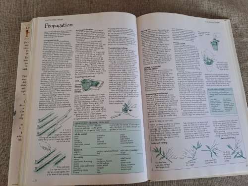The Complete Book of Herbs - Lesley Bremness