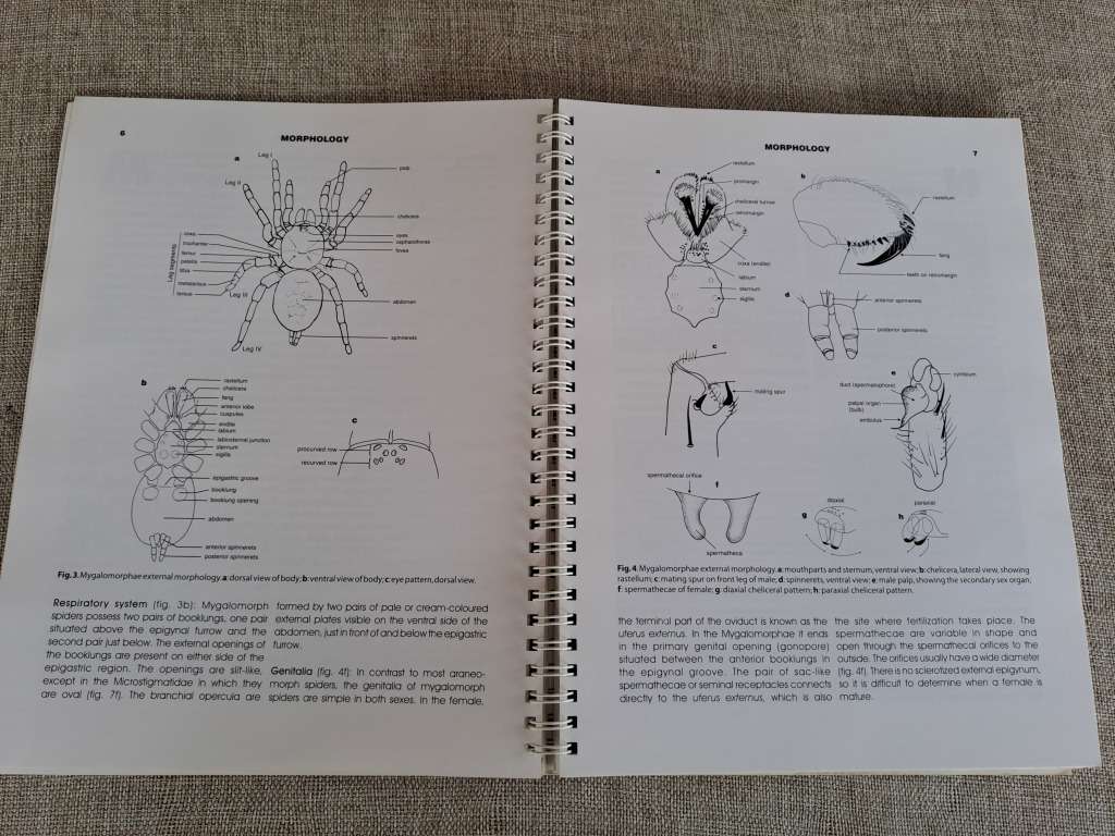 Baboon and Trapdoor Spiders of Southern Africa: An Identification Manual plus CD