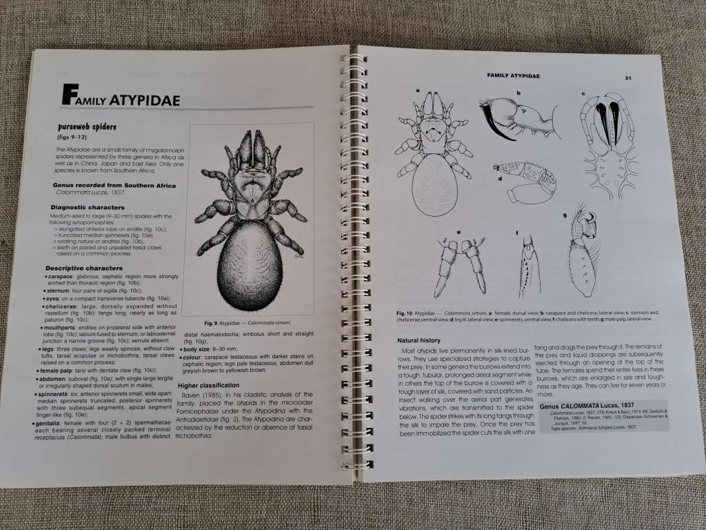Baboon and Trapdoor Spiders of Southern Africa: An Identification Manual plus CD