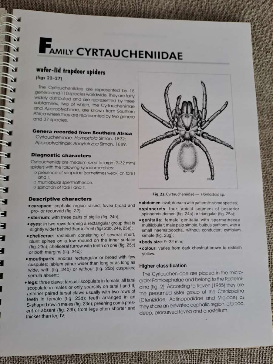 Baboon and Trapdoor Spiders of Southern Africa: An Identification Manual plus CD