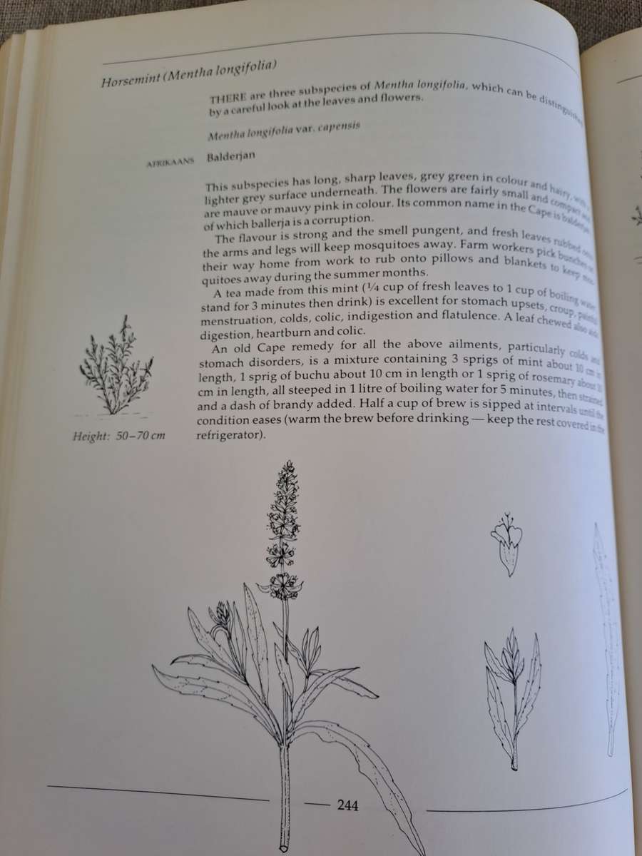 Indigenous Healing Plants - Margaret Roberts