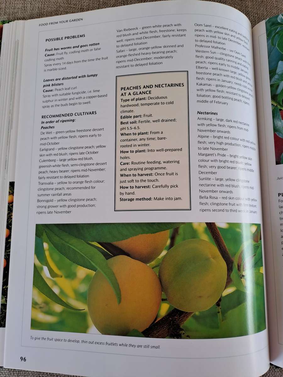 Food from Your Garden: A Southern African Guide to Growing Your Own Fruit, Vegetables and Herbs