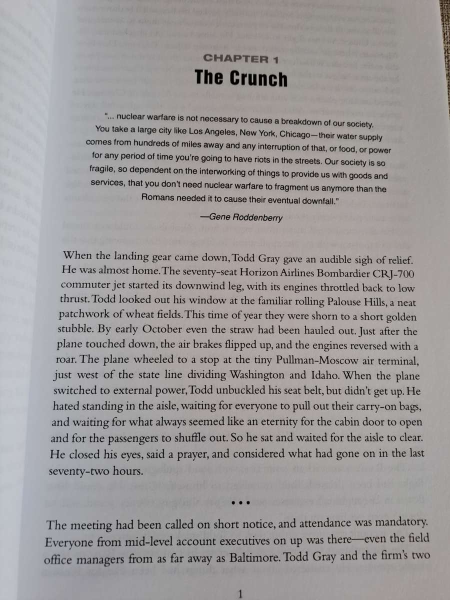 Patriots: A Novel of Survival in the Coming Collapse - James Wesley, Rawles