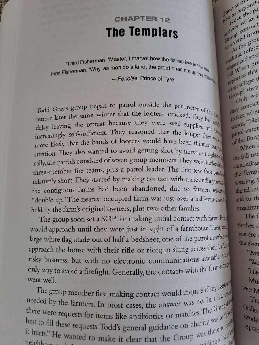 Patriots: A Novel of Survival in the Coming Collapse - James Wesley, Rawles