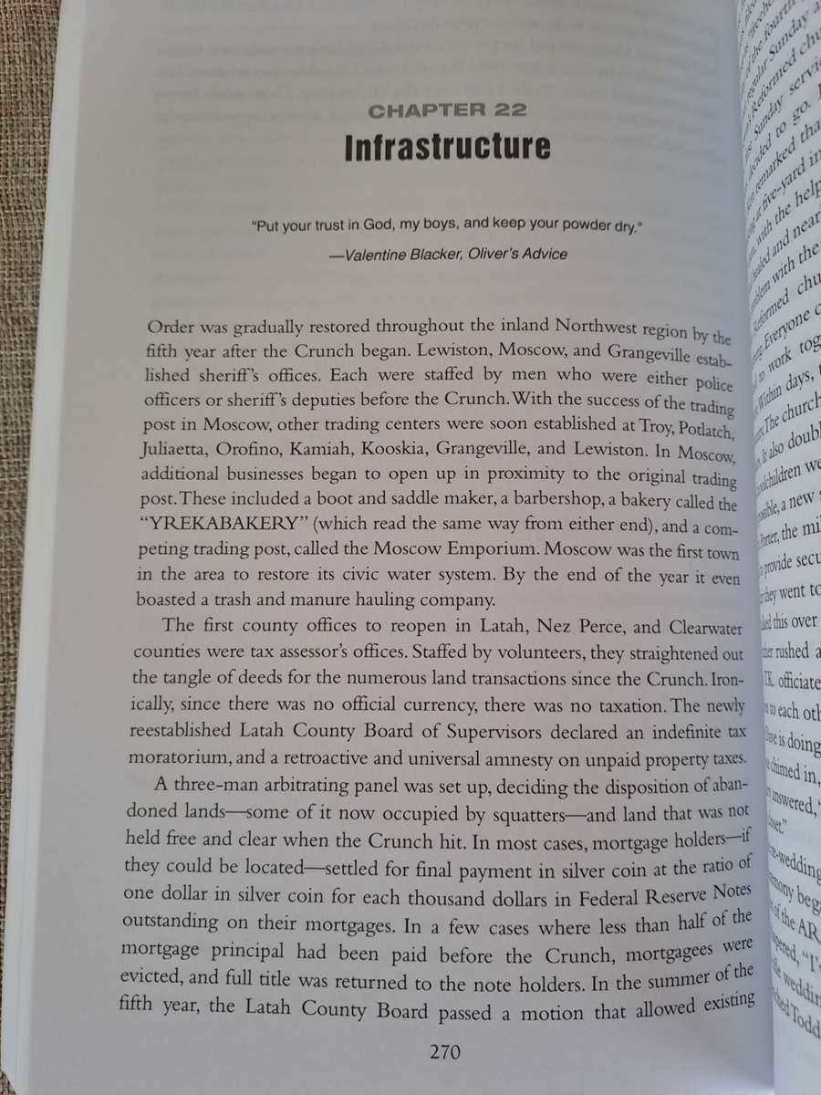 Patriots: A Novel of Survival in the Coming Collapse - James Wesley, Rawles