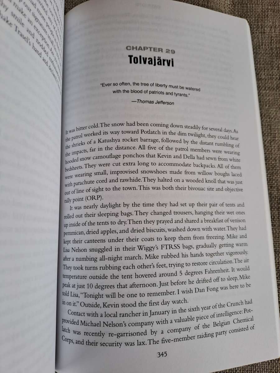 Patriots: A Novel of Survival in the Coming Collapse - James Wesley, Rawles