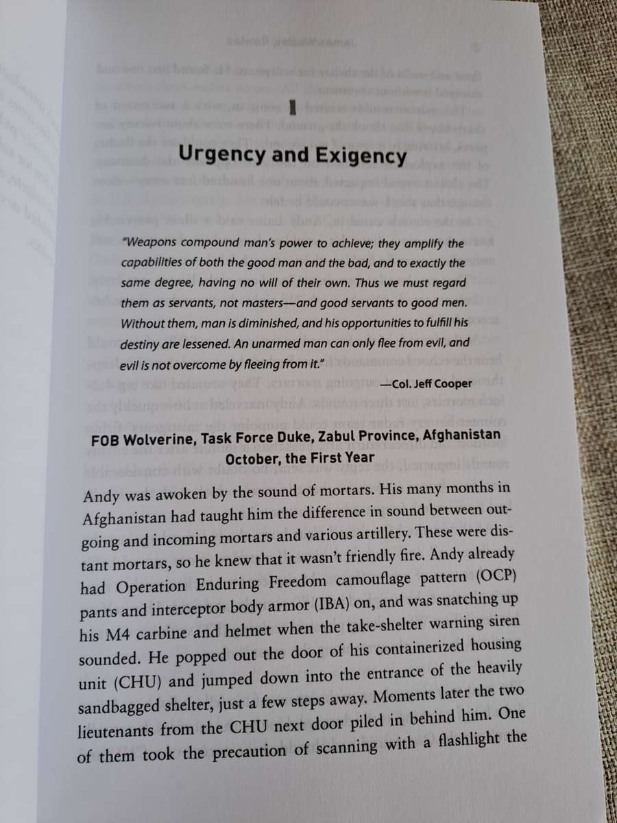 Survivors: A Novel of the Coming Collapse - James Wesley, Rawles