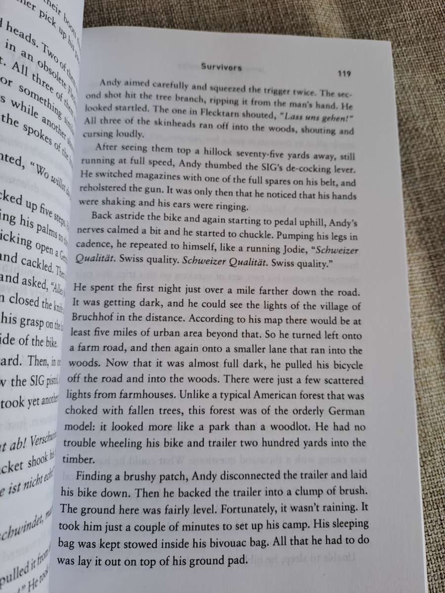 Survivors: A Novel of the Coming Collapse - James Wesley, Rawles