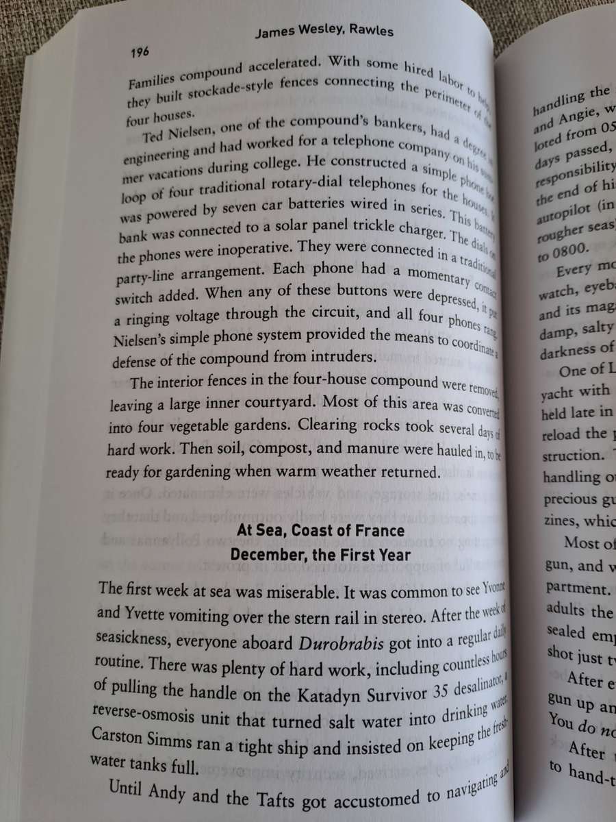 Survivors: A Novel of the Coming Collapse - James Wesley, Rawles