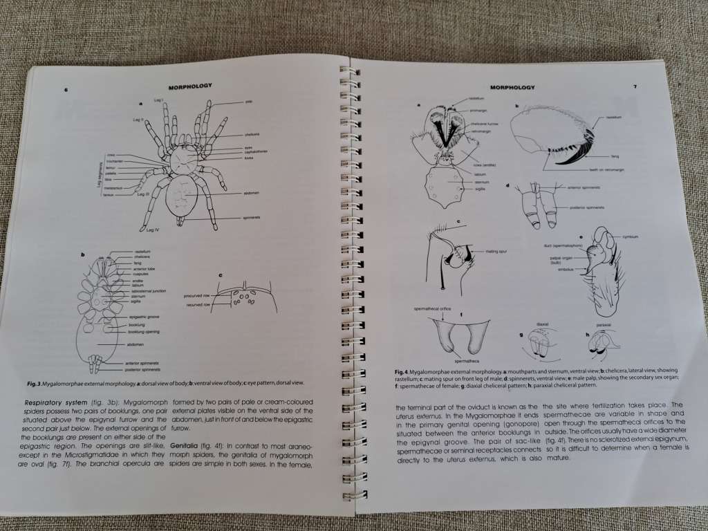 Baboon and Trapdoor Spiders of Southern Africa: An Identification Manual plus CD
