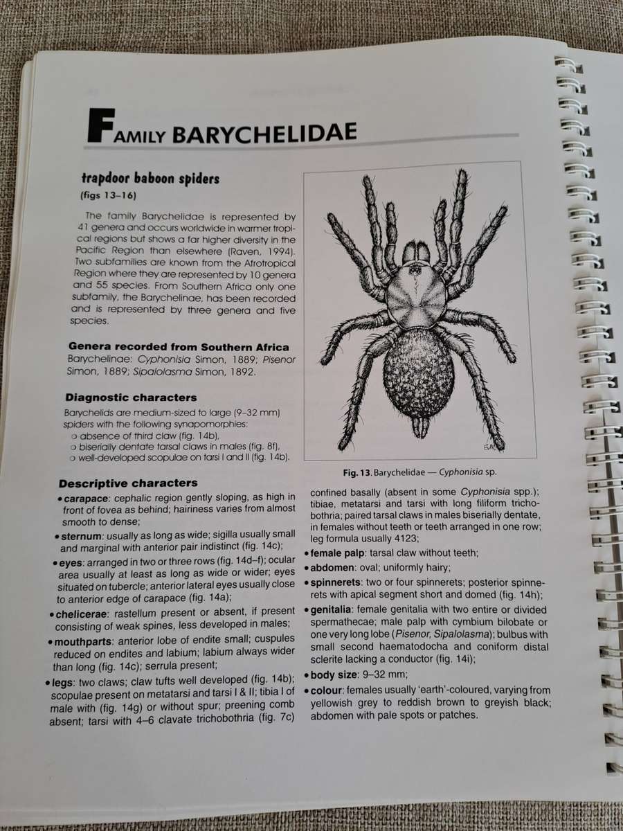 Baboon and Trapdoor Spiders of Southern Africa: An Identification Manual plus CD