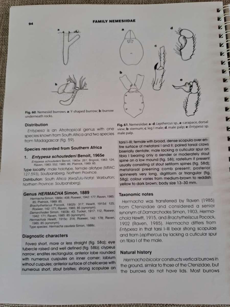 Baboon and Trapdoor Spiders of Southern Africa: An Identification Manual plus CD