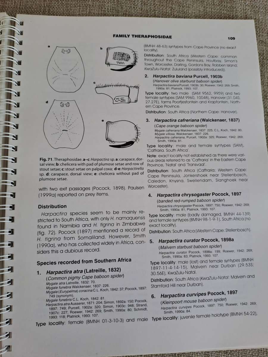 Baboon and Trapdoor Spiders of Southern Africa: An Identification Manual plus CD