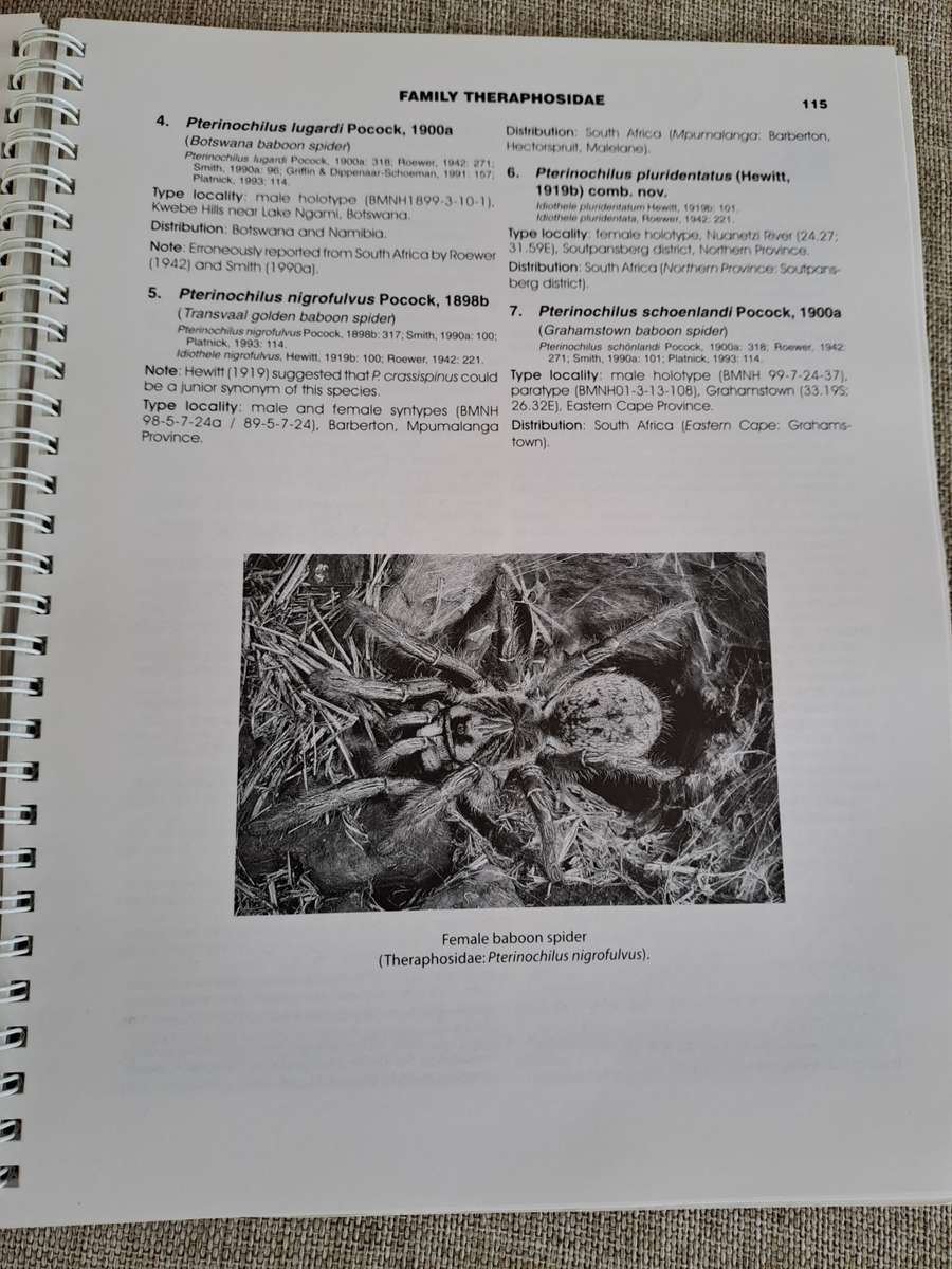 Baboon and Trapdoor Spiders of Southern Africa: An Identification Manual plus CD