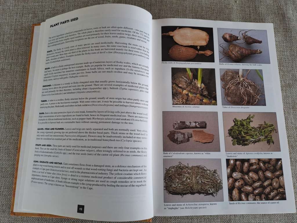 Medicinal Plants of South Africa - Ben-Erik van Wyk, Bosch van Oudtshoorn, Nigel Gericke