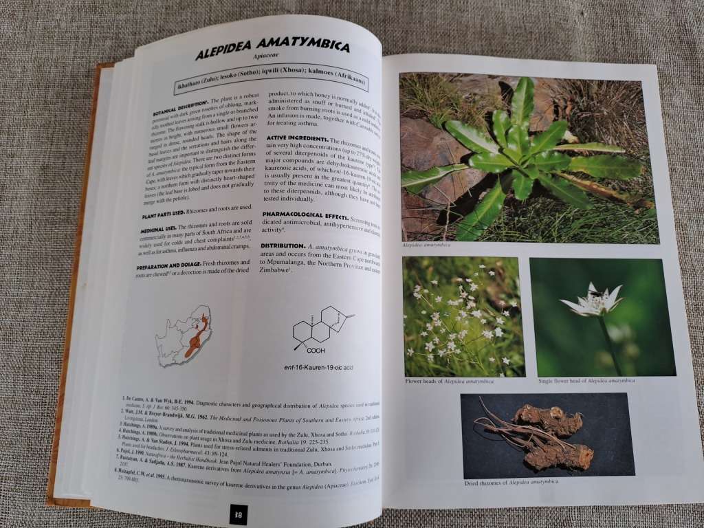 Medicinal Plants of South Africa - Ben-Erik van Wyk, Bosch van Oudtshoorn, Nigel Gericke