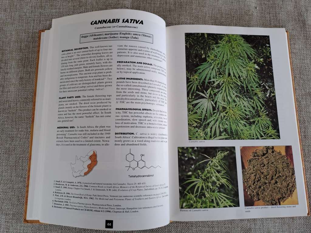 Medicinal Plants of South Africa - Ben-Erik van Wyk, Bosch van Oudtshoorn, Nigel Gericke