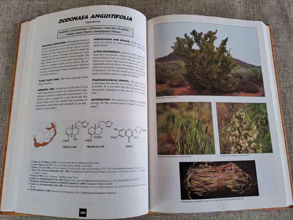 Medicinal Plants of South Africa - Ben-Erik van Wyk, Bosch van Oudtshoorn, Nigel Gericke