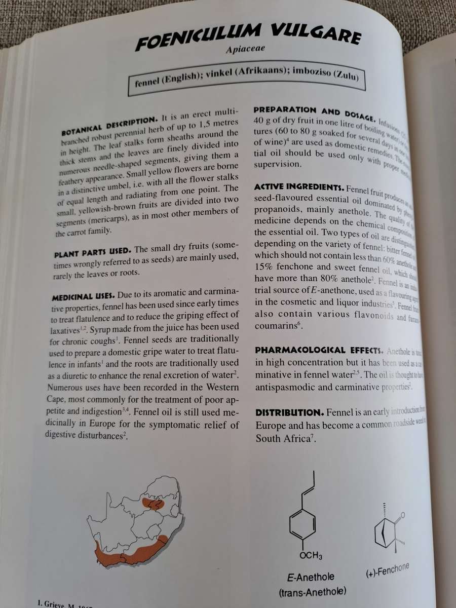 Medicinal Plants of South Africa - Ben-Erik van Wyk, Bosch van Oudtshoorn, Nigel Gericke