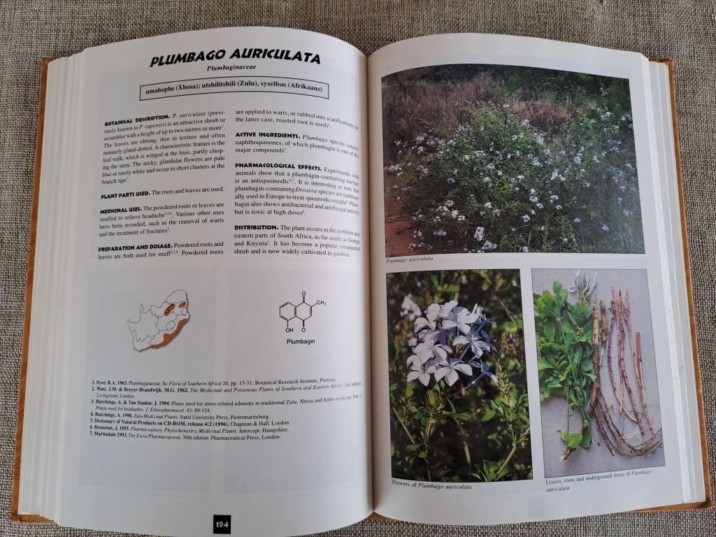 Medicinal Plants of South Africa - Ben-Erik van Wyk, Bosch van Oudtshoorn, Nigel Gericke