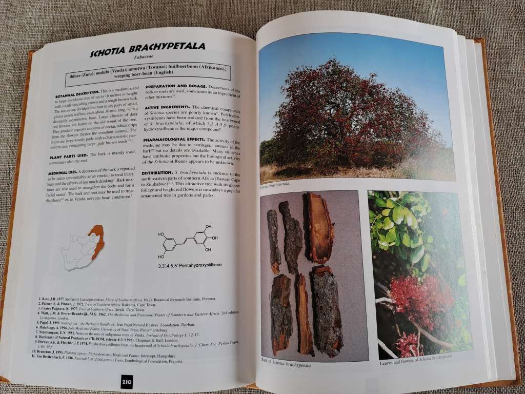 Medicinal Plants of South Africa - Ben-Erik van Wyk, Bosch van Oudtshoorn, Nigel Gericke