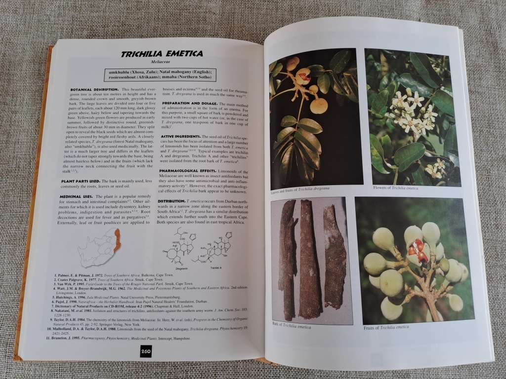 Medicinal Plants of South Africa - Ben-Erik van Wyk, Bosch van Oudtshoorn, Nigel Gericke