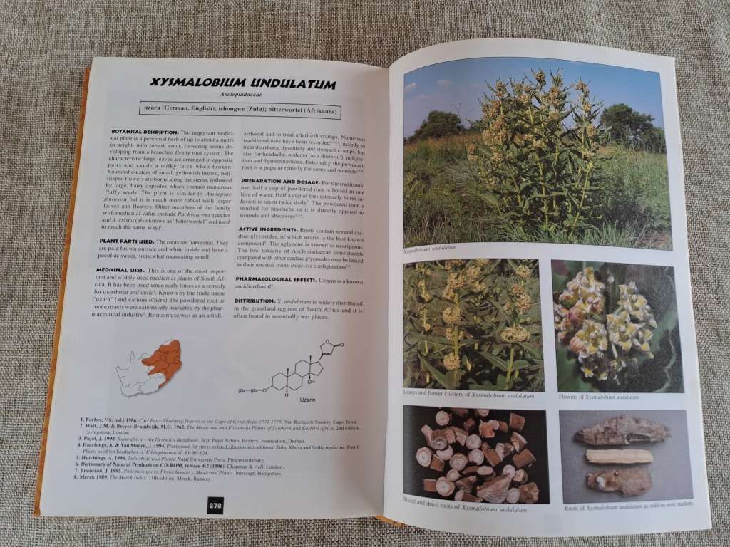 Medicinal Plants of South Africa - Ben-Erik van Wyk, Bosch van Oudtshoorn, Nigel Gericke