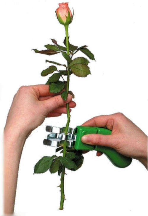 Roses and all  Cut flowers - " Strip - Ease " Thorn and leaf Stripper -