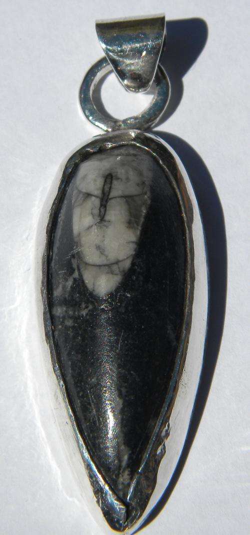92.25ct FUNKY!!! Natural Morroco Fossil  Silver  Pendant ~ NR!!!