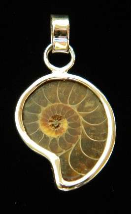STUNNING!!!Natural Fossil Sterling silver Pendent!!!