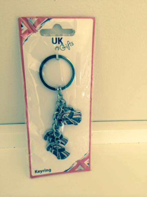 Mini key ring