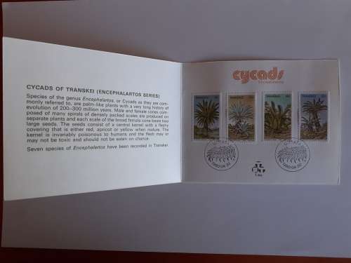 Transkei 1980 Cycads
