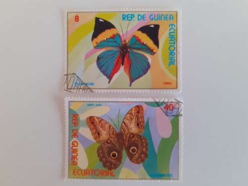 Equatorial Guinea Butterflies