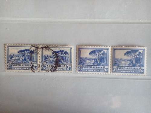 Union of SA 3d Pictorials: Different Prints