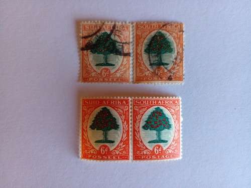 Union of SA 6d Pictorial Variety