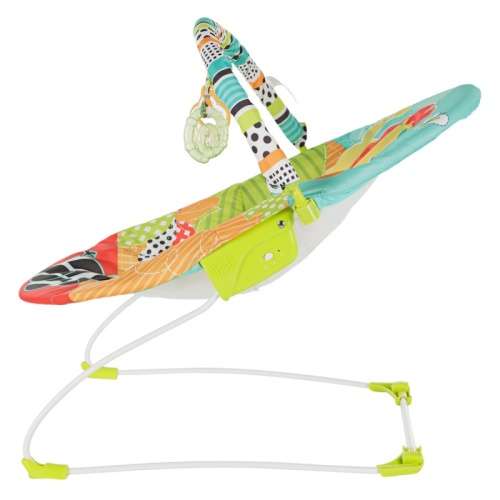 Bright Starts Roaming Safari Vibrating Baby Bouncer