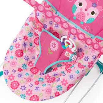 Bright Starts Happy Flowers Vibrating Bouncer