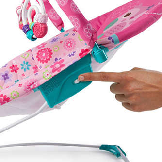 Bright Starts Happy Flowers Vibrating Bouncer