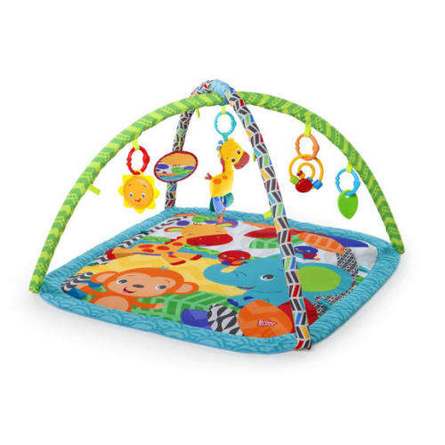 Bright Starts Zippy Zoo Baby Activity Gym